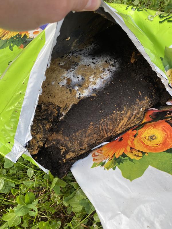 Revisione aperta modale 1 su 1