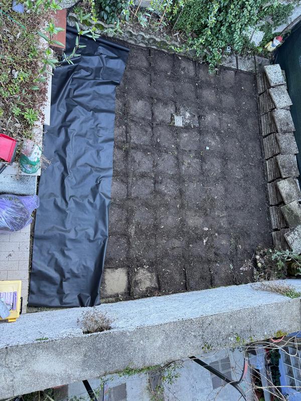 Revisione aperta modale 2 su 2