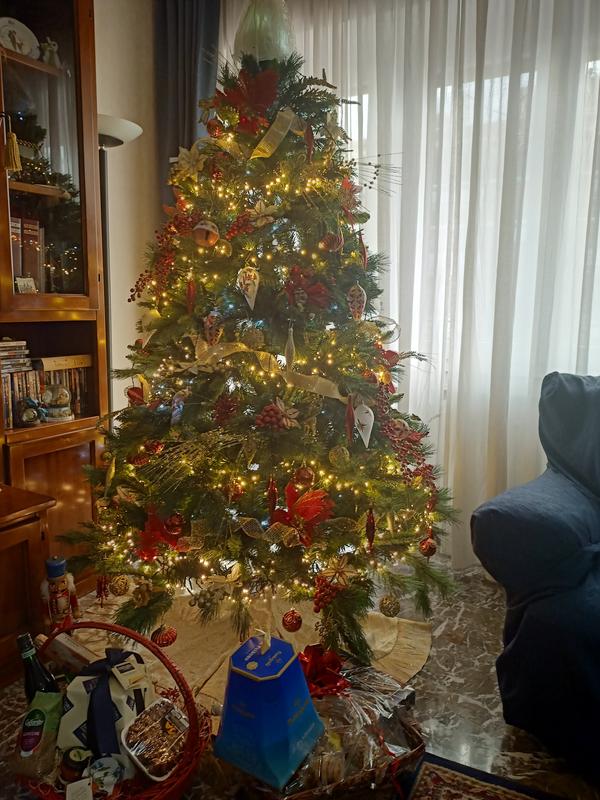 Revisione aperta modale 1 su 1