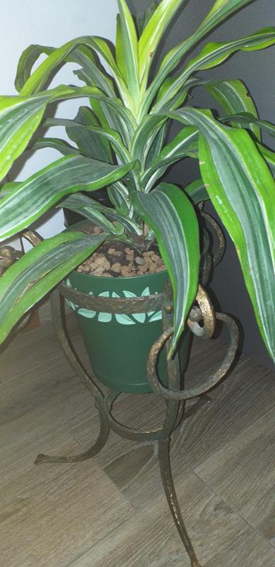 Revisione aperta modale 1 su 1