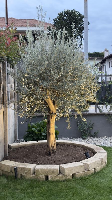 Ouvrir la fenêtre modale de l'avis 1 sur 1