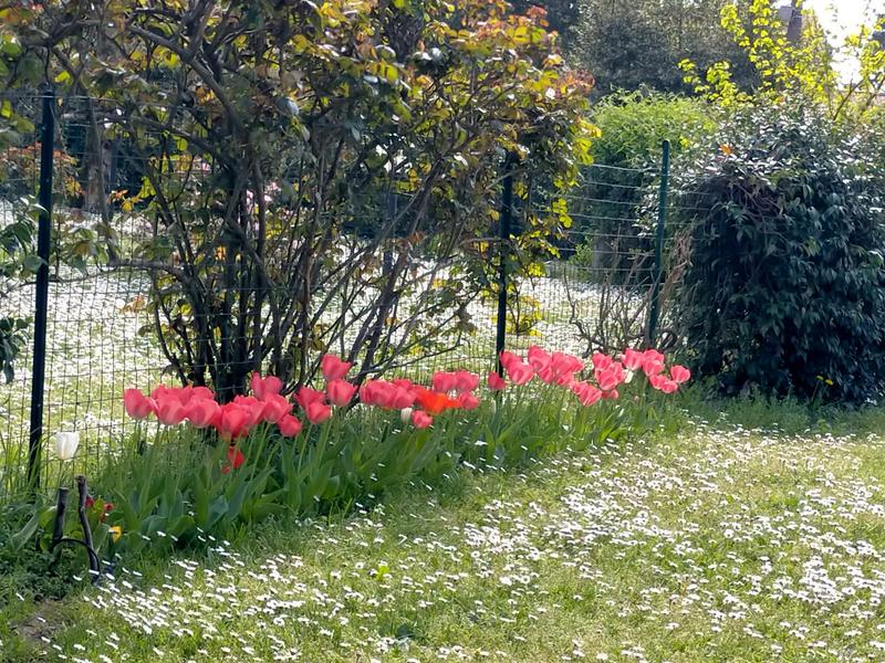 Revisione aperta modale 1 su 1