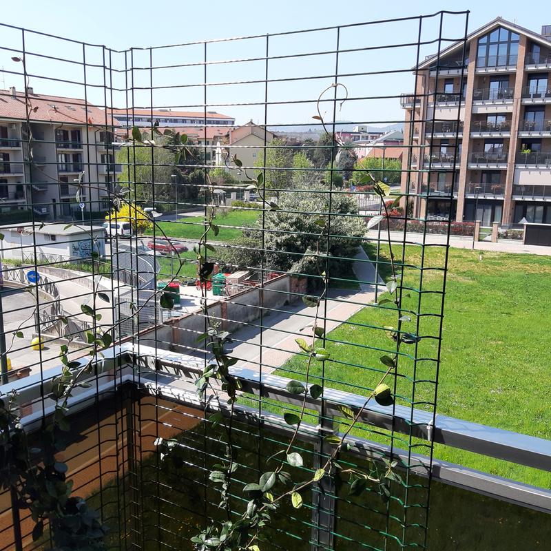 Revisione aperta modale 1 su 1