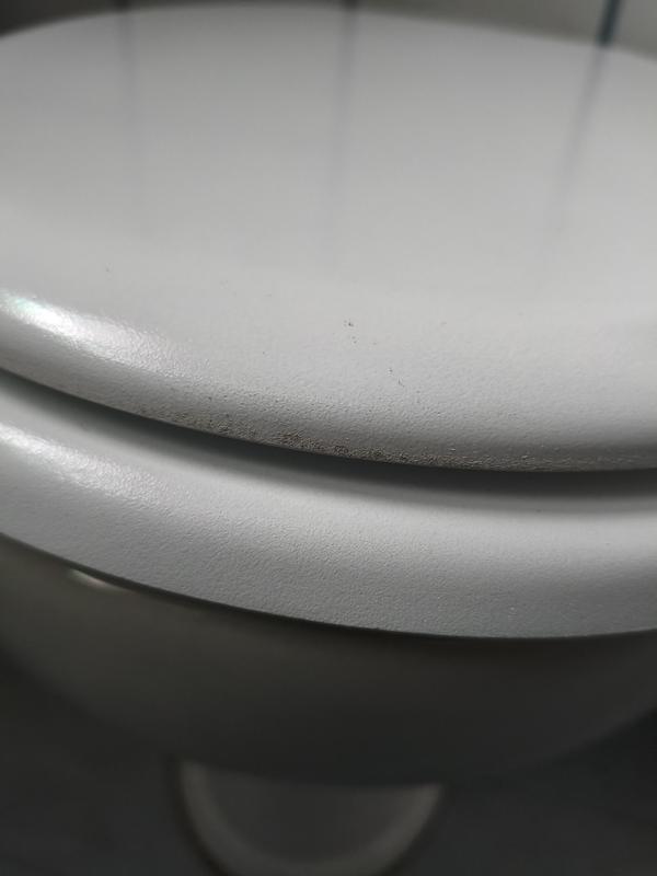 Revisione aperta modale 1 su 1