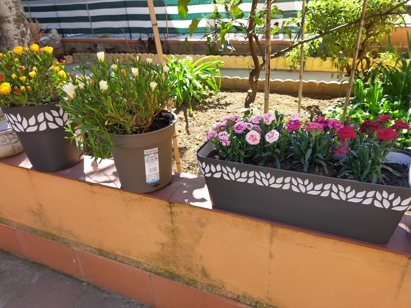 Revisione aperta modale 2 su 2