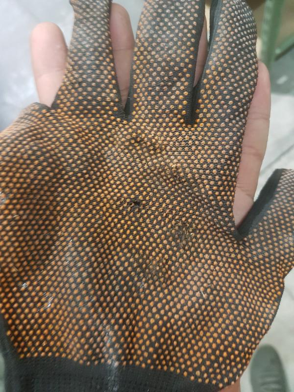 Revisione aperta modale 2 su 2