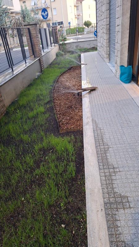 Revisione aperta modale 1 su 1