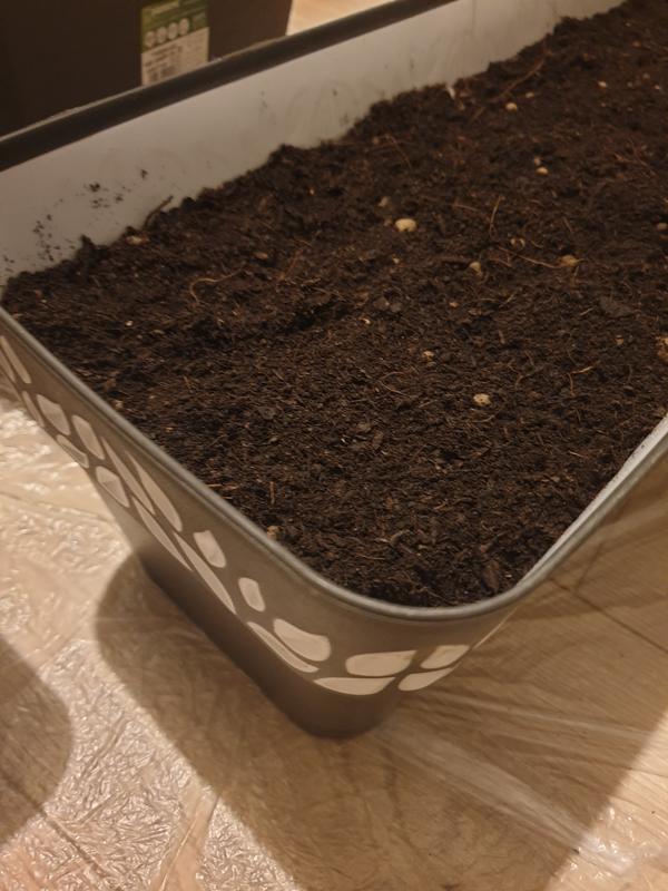 Revisione aperta modale 2 su 2