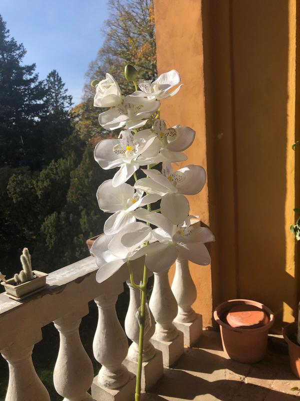 Revisione aperta modale 2 su 3