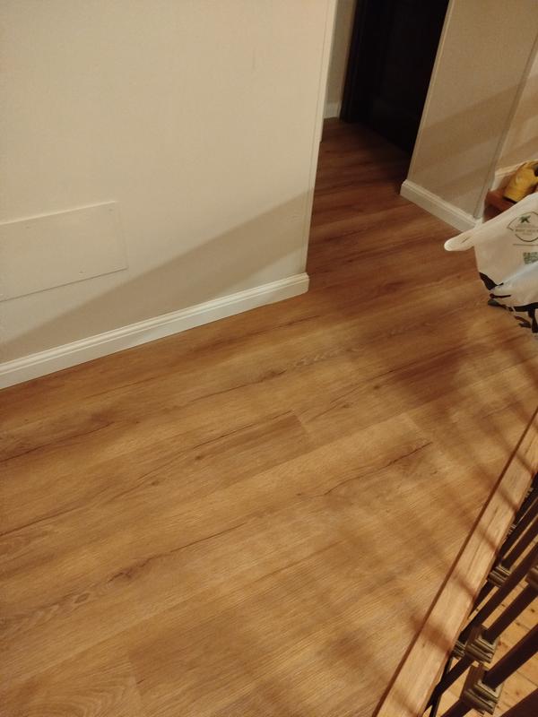 Revisione aperta modale 2 su 2