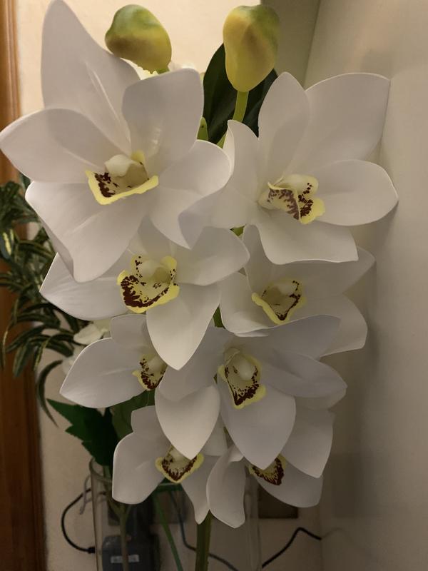 Revisione aperta modale 1 su 1