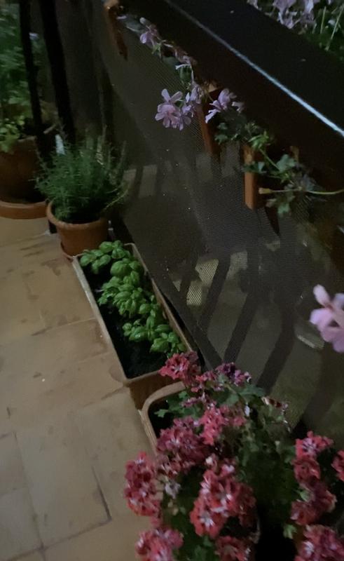 Revisione aperta modale 1 su 2