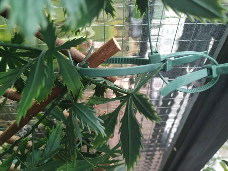 Revisione aperta modale 1 su 1