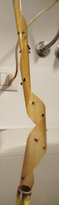 Revisione aperta modale 1 su 1