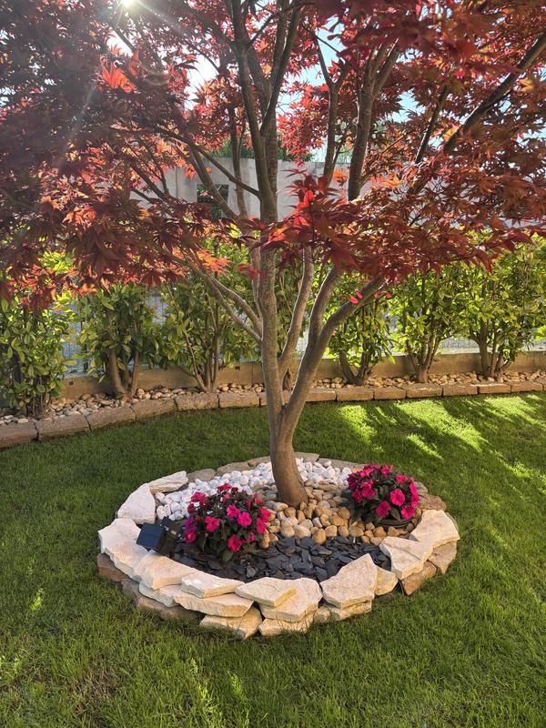 Revisione aperta modale 1 su 3