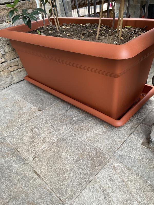 Revisione aperta modale 1 su 1