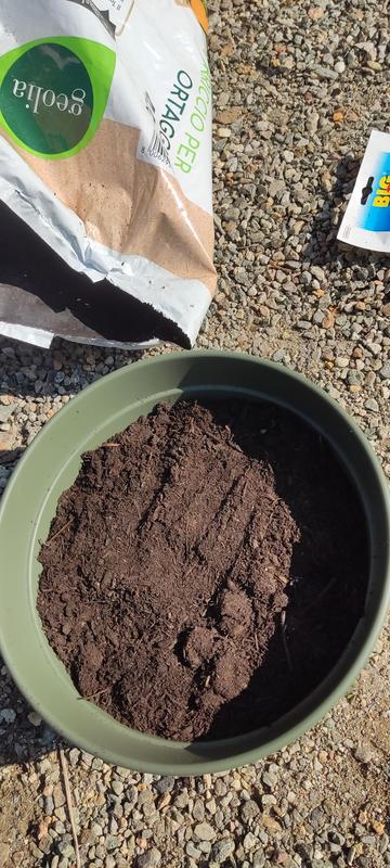 Revisione aperta modale 1 su 2