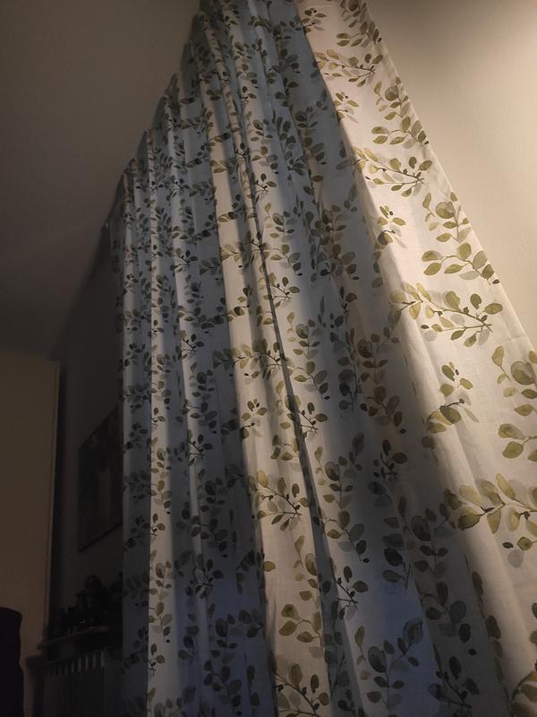 Revisione aperta modale 1 su 2