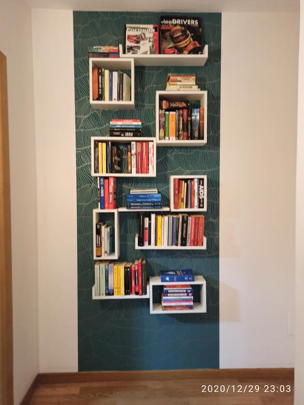 Revisione aperta modale 2 su 3