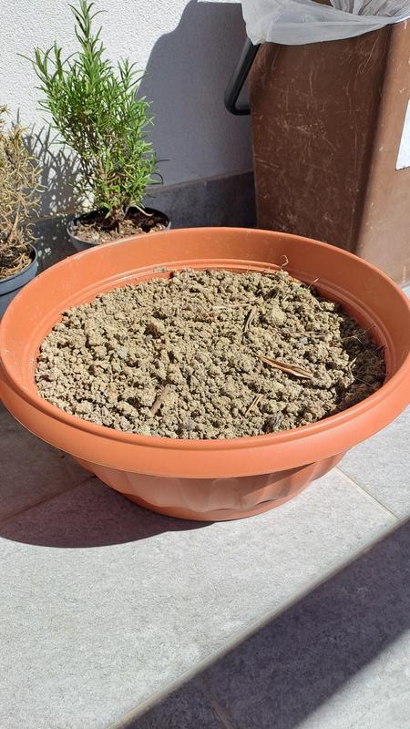 Revisione aperta modale 1 su 1