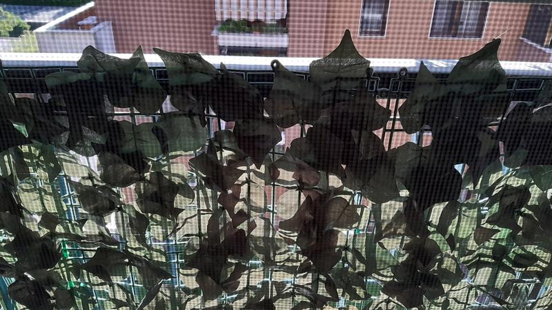 Revisione aperta modale 2 su 2