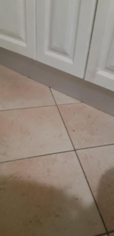 Revisione aperta modale 1 su 1