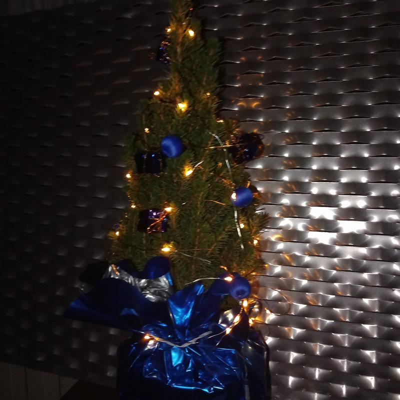 Revisione aperta modale 1 su 1