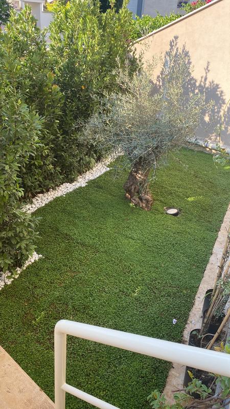 Revisione aperta modale 1 su 1