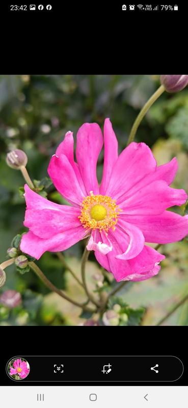 Revisione aperta modale 2 su 6