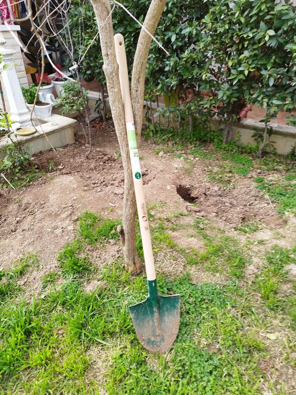 Ouvrir la fenêtre modale de l'avis 1 sur 2