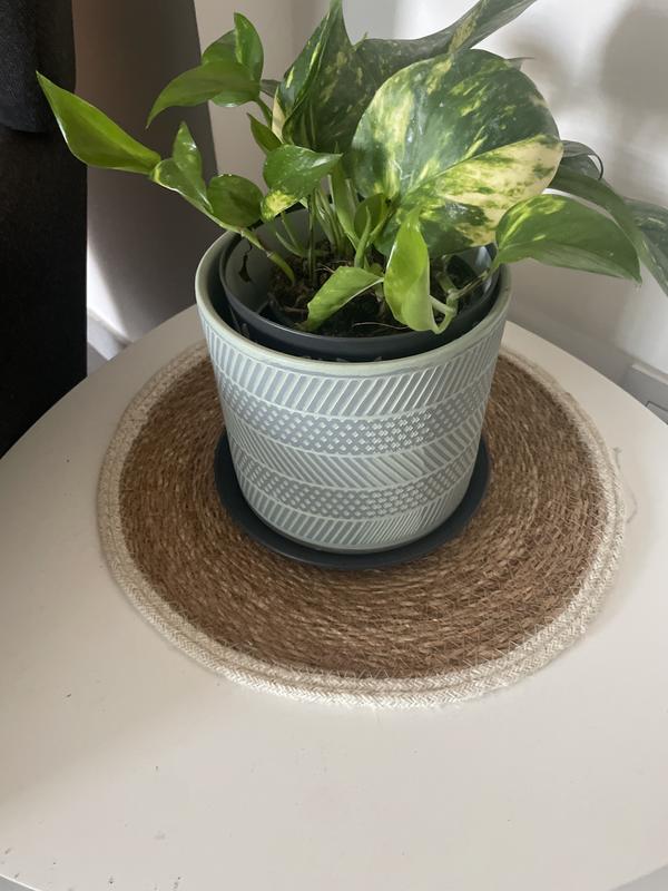 Revisione aperta modale 1 su 1