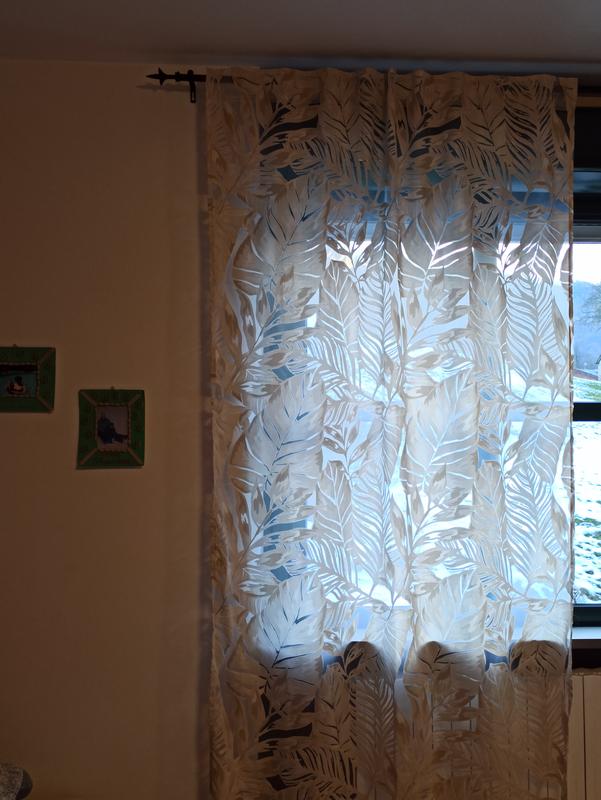 Revisione aperta modale 1 su 1