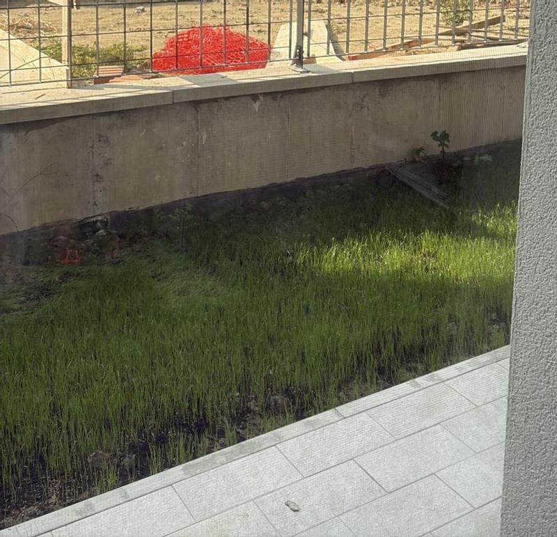 Revisione aperta modale 1 su 2