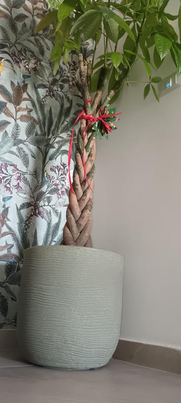 Revisione aperta modale 1 su 2