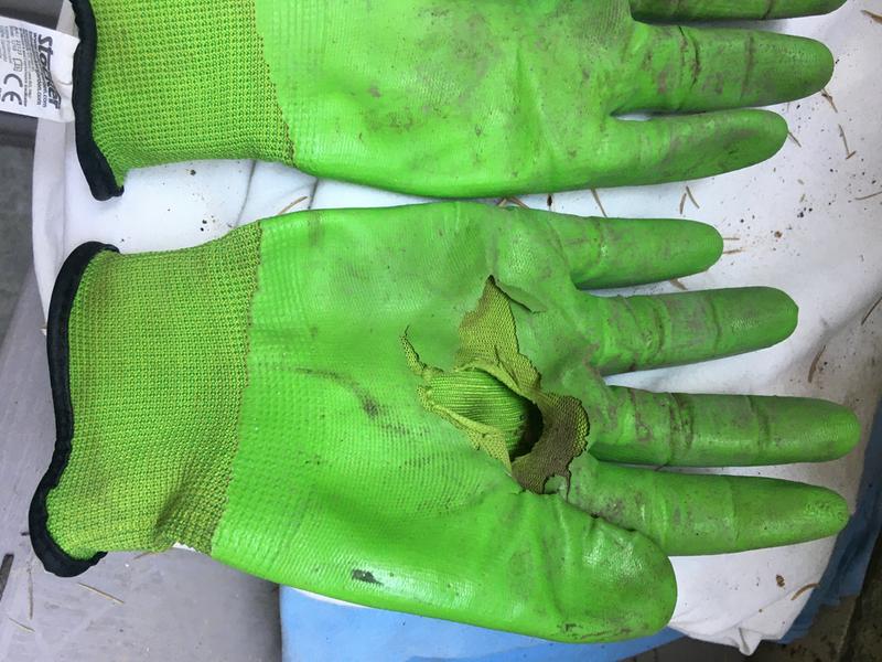 Revisione aperta modale 1 su 3