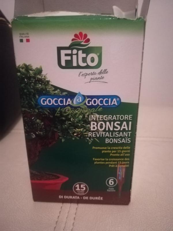 Revisione aperta modale 2 su 2