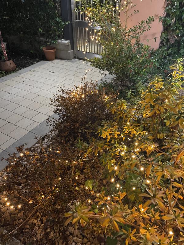 Revisione aperta modale 3 su 4