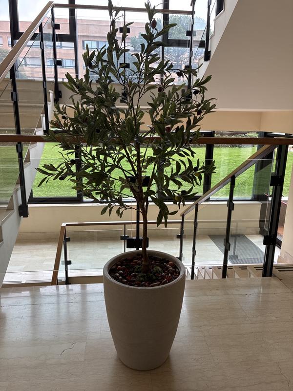 Revisione aperta modale 1 su 1