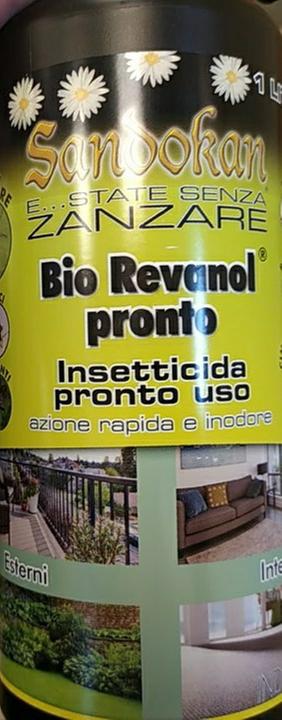 Revisione aperta modale 2 su 4