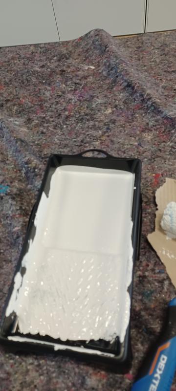 Revisione aperta modale 2 su 2