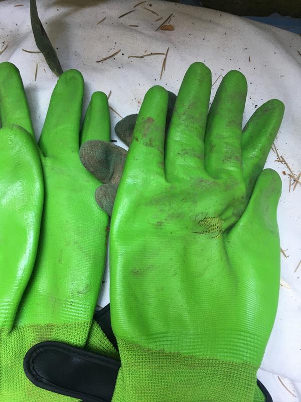 Revisione aperta modale 2 su 3