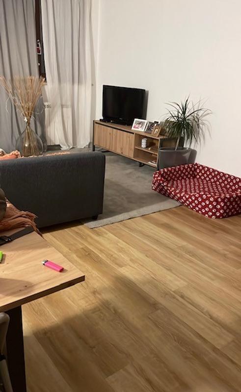 Ouvrir la fenêtre modale de l'avis 1 sur 1