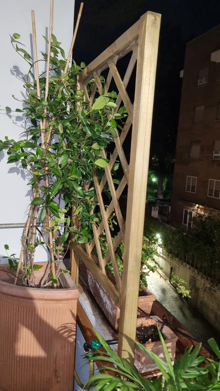 Revisione aperta modale 1 su 1