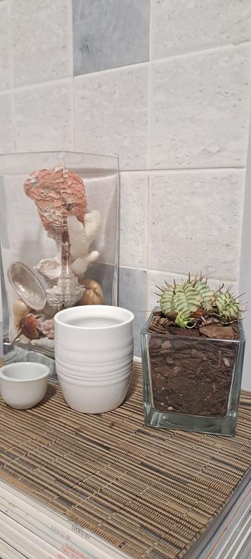 Revisione aperta modale 1 su 2