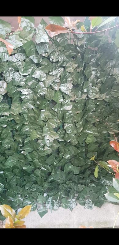 Revisione aperta modale 1 su 1