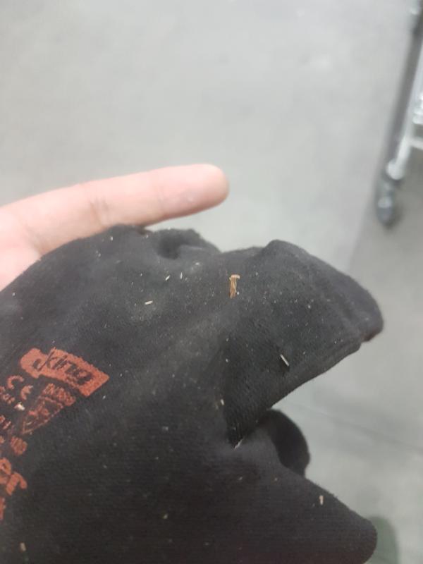 Revisione aperta modale 1 su 2