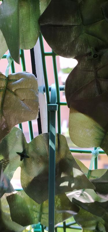 Revisione aperta modale 1 su 1