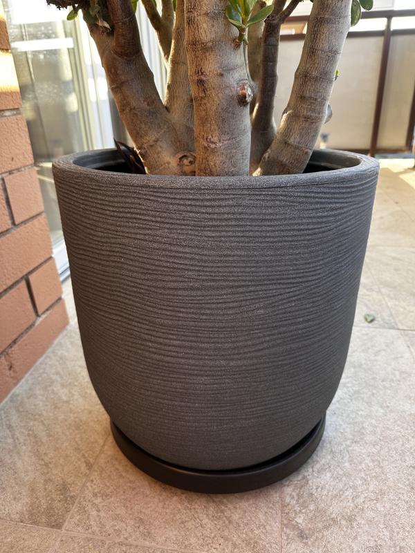 Revisione aperta modale 2 su 2