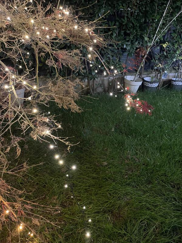 Revisione aperta modale 3 su 3