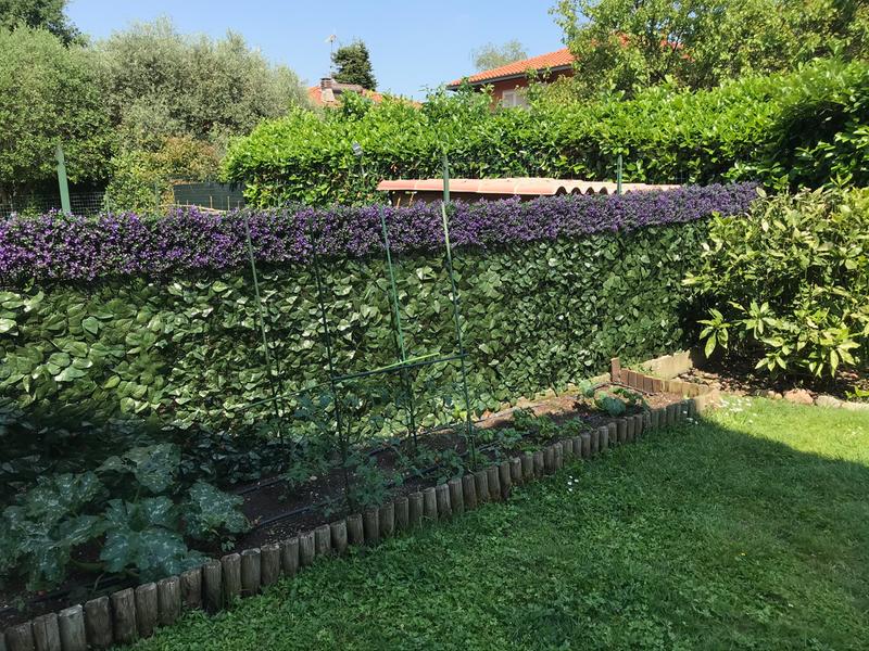 Revisione aperta modale 2 su 4